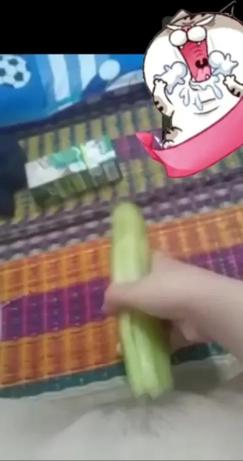 Gạ em bạn thân dâm đãng bím múp call vid show hàng móc lồn bằng dưa chuột cho xem